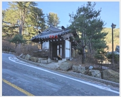  2023Ÿ81367     919-1      ٸü,󰡰