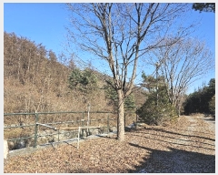  2023Ÿ81367     919-1      ٸü,󰡰