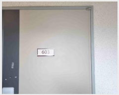  2023Ÿ��78286  ����Ʈ���