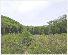  2023Ÿ71704   û  165      (Ӿ)