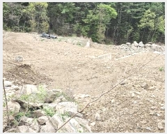  2023Ÿ71704   û  165      (Ӿ)