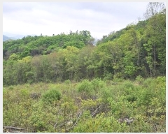  2023Ÿ71704   û  165      (Ӿ)