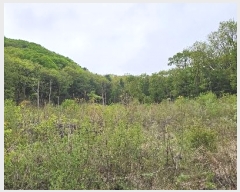  2023Ÿ71704   û  165      (Ӿ)