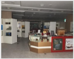  2024Ÿ5326  ߱ ܷ 247, 11433ȣ (6,¸׽Ƽθ)     ,繫ǰ