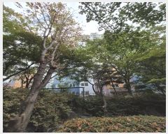  2024Ÿ119294  Ǳ Ƿ 263, 101 7702ȣ (õ,)    Ʈ