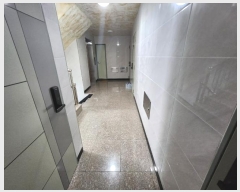  2024Ÿ��120317 ���� ���۱� �󵵵� 259-83       �ܵ�����,�����ð��