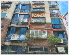  2024Ÿ121709  Ǳ ȣϷ20 13, 2204ȣ      ټ,