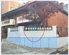  2024Ÿ��125695  �ټ���(����)���