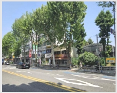  2024Ÿ��2099  �������