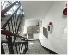  2024Ÿ110884  Ǳ Ÿ 1519-16       ٰð