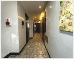  2024Ÿ110884  Ǳ Ÿ 1519-16       ٰð