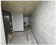  2024Ÿ119201  ۱ 1 471       ٰð