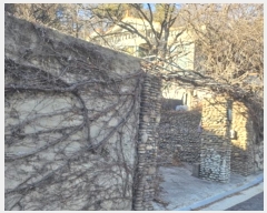  2024Ÿ��126018  �������