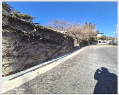  2024Ÿ��126018  �������