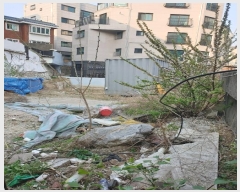  2024Ÿ��105295 ���� ���۱� ��絿 1050-31       ����(����)���