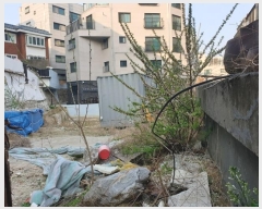  2024Ÿ��105295 ���� ���۱� ��絿 1050-31       ����(����)���