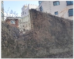  2024Ÿ��105295 ���� ���۱� ��絿 1050-31       ����(����)���