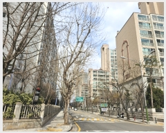  2024Ÿ��888  ����Ʈ���