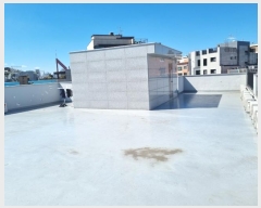  2024Ÿ��118635 ���� ���۱� �󵵵� 335-145       �ܵ�����,�����ð��