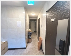  2024Ÿ��307 ���� ���۱� �󵵵� 126-84       �ٰ������ð��