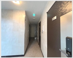  2024Ÿ��307 ���� ���۱� �󵵵� 126-84       �ٰ������ð��