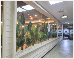  2024Ÿ��5852  �ٸ��󰡰��