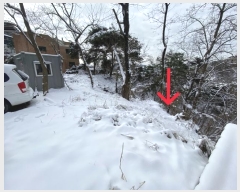  2024Ÿ��101989 ���� ���α� ��â�� 526-8       ����(����)���