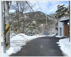  2024Ÿ��101989 ���� ���α� ��â�� 526-8       ����(����)���