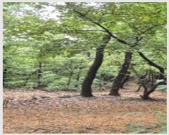  2024Ÿ��120904  �Ӿ߰��