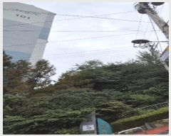  2024Ÿ��120904  �Ӿ߰��