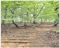  2024Ÿ��120904  �Ӿ߰��