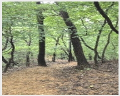  2024Ÿ��120904  �Ӿ߰��