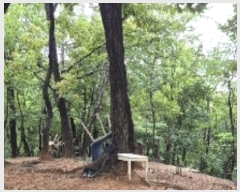  2024Ÿ��120904  �Ӿ߰��