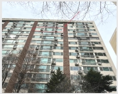  2024Ÿ51810  ı  1109, 3 131302ȣ (̵,븲Ʈ)    Ʈ