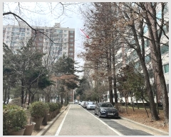  2024Ÿ51810  ı  1109, 3 131302ȣ (̵,븲Ʈ)    Ʈ