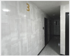  2024Ÿ60906  ı ̵ 193-21       ܵ,ð