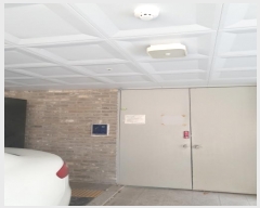  2024Ÿ��3125  �ټ���(����)���