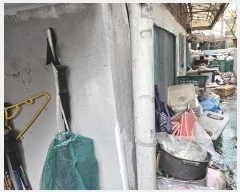  2024Ÿ��51100  ���ð��