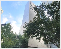  2024Ÿ63486   Ȳ43 13-16, 4401ȣ (浿,ƽ׸ǽ)     ǽڰ