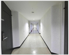  2024Ÿ3651  ı η 5, 3 -315ȣ (,ȭũ)    ǽڰ