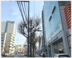  2024Ÿ��50145 ���� ������ ������ 64, 10��1003ȣ (������,���������Ӹ�����Ʈ������)     ��������Ȱ���ð��