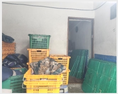  2024Ÿ58033   õȣ 56-42       ܵ,ð