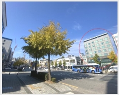  2024Ÿ��63202 ���� ������ õȣ��� 1195, 5��506ȣ (�浿,������Ÿ��)     ���ǽ��ڰ��