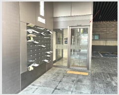  2024Ÿ62094  ı з42 4-5, 9905ȣ (ĵ,Ӹũ)     ټ,