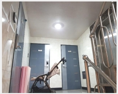  2024Ÿ��62261  �ټ���(����)���