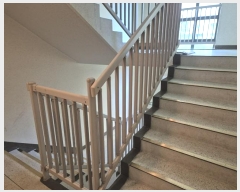  2024Ÿ��2412  ����Ʈ���