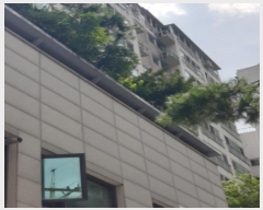  2024Ÿ��59562 ���� ������ õ�߷�38���� 53, 3��304ȣ (�浿,�������󽺾���Ʈ)     ����Ʈ���