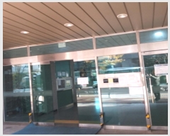  2024Ÿ141518   õ19 12, 8 815ȣ (븲, ž)   Ʈ