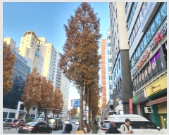  2024Ÿ145831   ȭ 332, 12 1207ȣ (ȭ, 븮)   ǽڰ