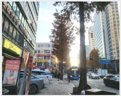  2024Ÿ145831   ȭ 332, 12 1207ȣ (ȭ, 븮)   ǽڰ